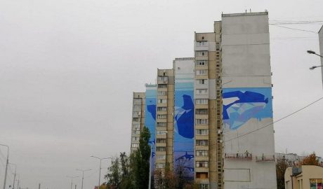 Анастасия Худякова